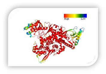 Cluster of virus RNAP