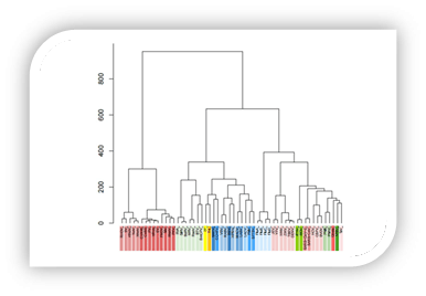 Conserved structure motif of virus RNAP